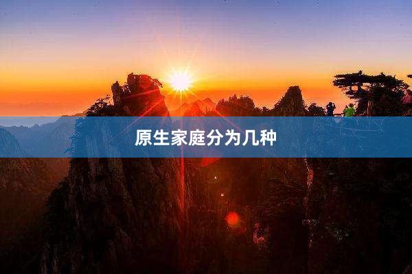 原生家庭分为几种
