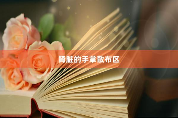 肾脏的手掌散布区