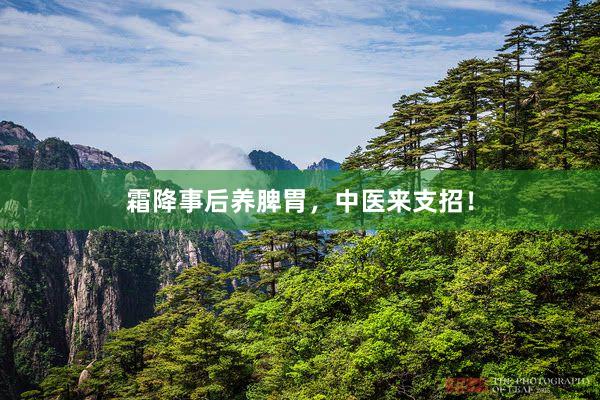 霜降事后养脾胃，中医来支招！