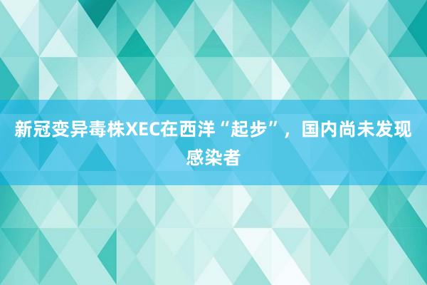 新冠变异毒株XEC在西洋“起步”，国内尚未发现感染者