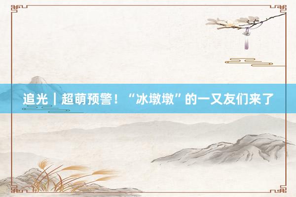 追光｜超萌预警！“冰墩墩”的一又友们来了