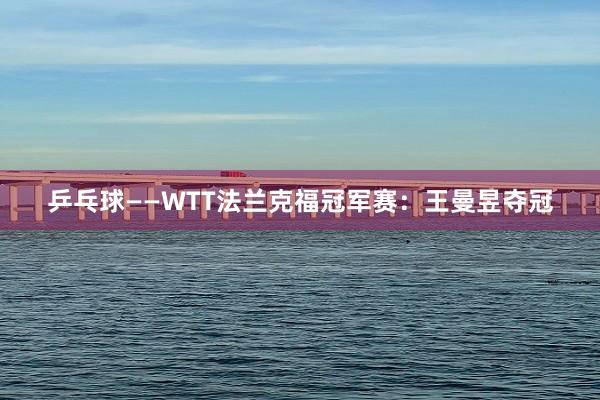 乒乓球——WTT法兰克福冠军赛：王曼昱夺冠