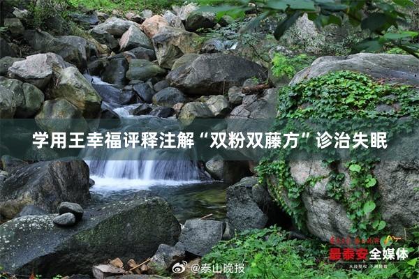 学用王幸福评释注解“双粉双藤方”诊治失眠
