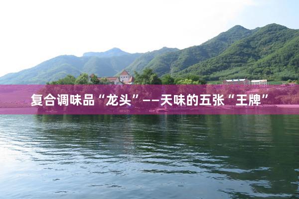 复合调味品“龙头”——天味的五张“王牌”