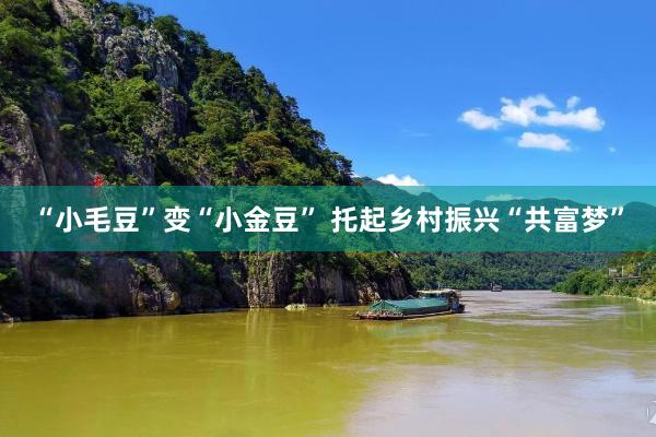 “小毛豆”变“小金豆” 托起乡村振兴“共富梦”