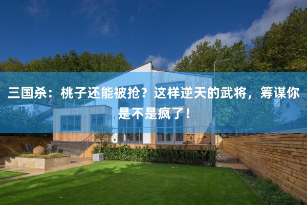 三国杀：桃子还能被抢？这样逆天的武将，筹谋你是不是疯了！