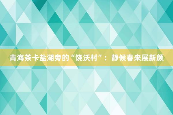 青海茶卡盐湖旁的“饶沃村”：静候春来展新颜